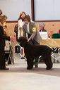img_1528