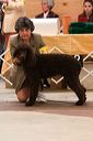 img_1539