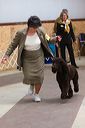 img_1545