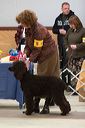 img_1571