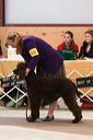 img_1572