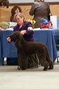 img_1590