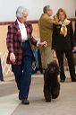 img_1603