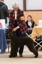 img_1612