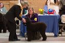 img_1628
