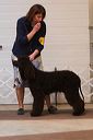 img_1661