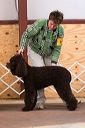 img_1668