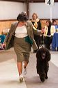 img_1707