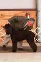 img_1746