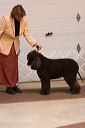 img_1747