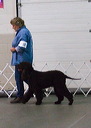 img_9045