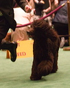 20070213-500