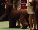 20070213-505