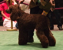20070213-507