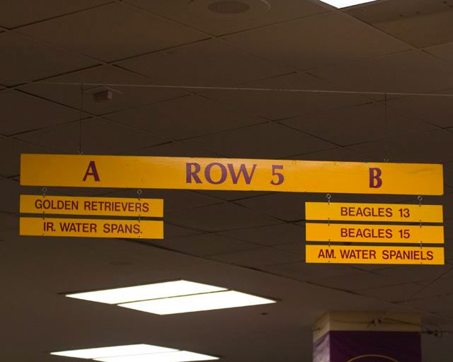 20070213-001.jpg