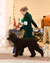 20070317-0002