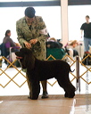 20070317-0020