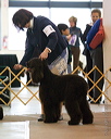 20070317-0027