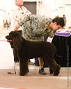 20070317-0030