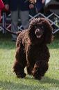 20070927-0144