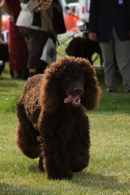 20070927-0235.jpg