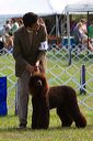 20070930-0198