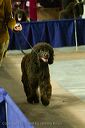 20081128-iwsac-0120
