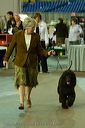 20081128-iwsac-0131