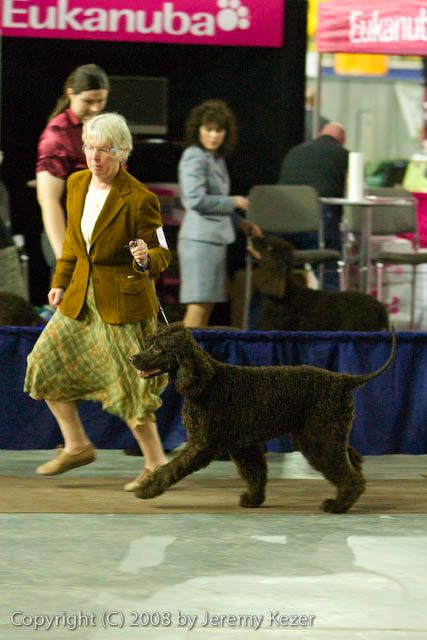 20081128-iwsac-0116.jpg