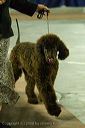20081128-iwsac-0099