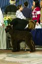 20081128-iwsac-0103