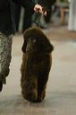 20081128-iwsac-0104