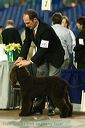 20081128-iwsac-0148
