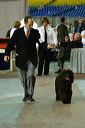 20081128-iwsac-0150