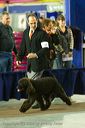 20081128-iwsac-0158