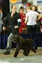 20081128-iwsac-0161