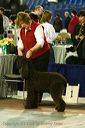 20081128-iwsac-0162