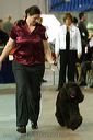 20081128-iwsac-0182
