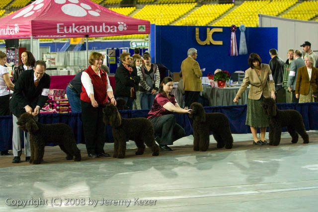 20081128-iwsac-0147.jpg