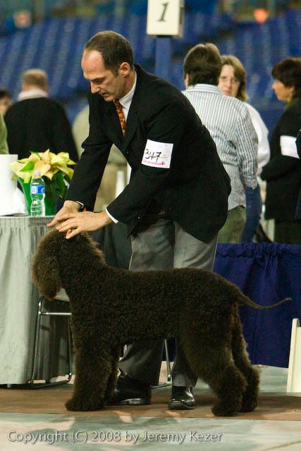 20081128-iwsac-0148.jpg