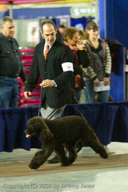 20081128-iwsac-0158.jpg