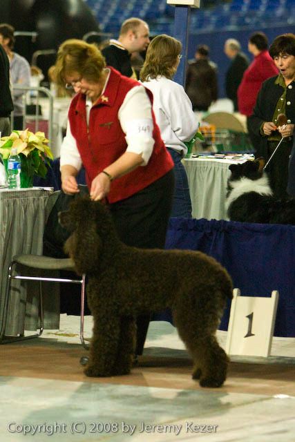 20081128-iwsac-0162.jpg