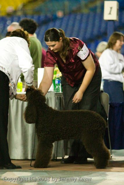 20081128-iwsac-0178.jpg