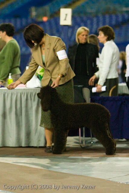 20081128-iwsac-0191.jpg