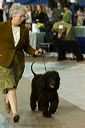 20081128-iwsac-0207
