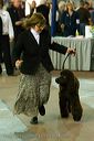 20081128-iwsac-0213