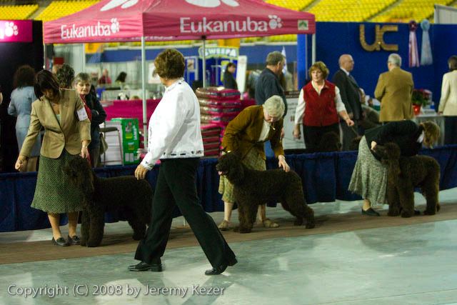 20081128-iwsac-0202.jpg