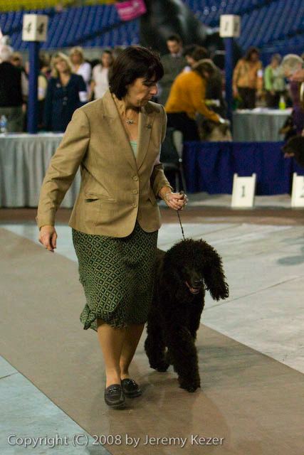 20081128-iwsac-0221.jpg
