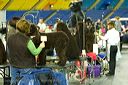20081128-iwsac-0001