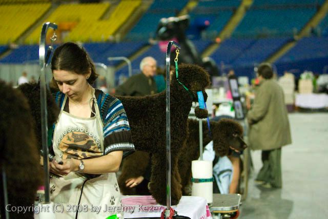 20081128-iwsac-0022.jpg